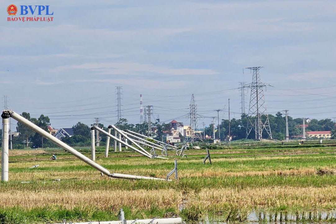 Hàng loạt cây cột điện bị gãy đổ sau cơn giông lốc