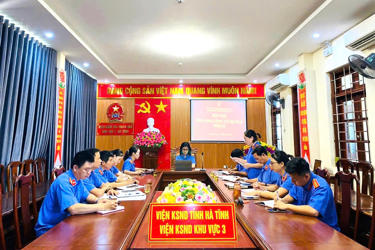 Triển khai công tác thực hành quyền công tố, kiểm sát các vụ án, vụ việc hình sự