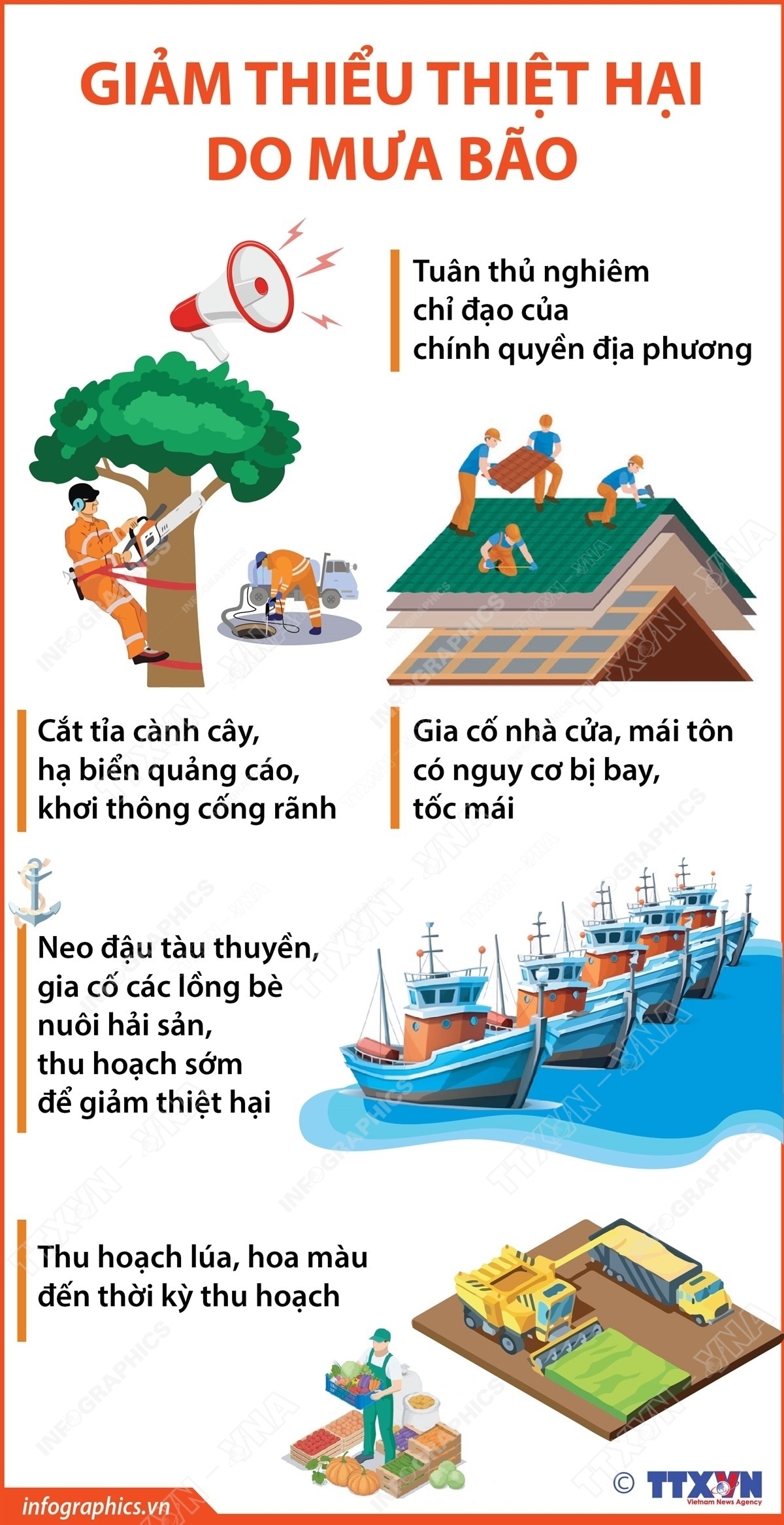 ảnh slide