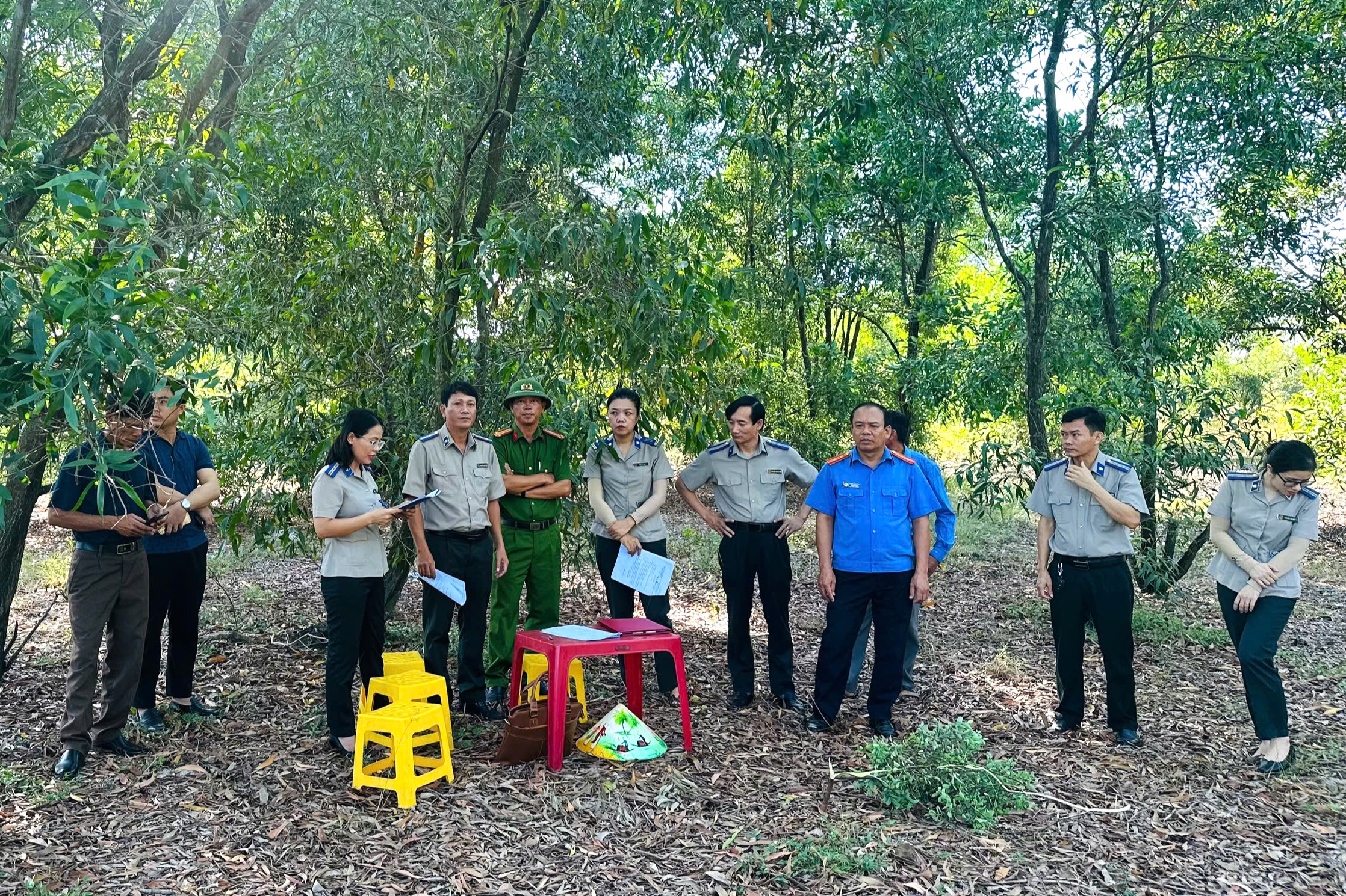 Kiểm sát việc cưỡng chế, kê biên tài sản thi hành án dân sự