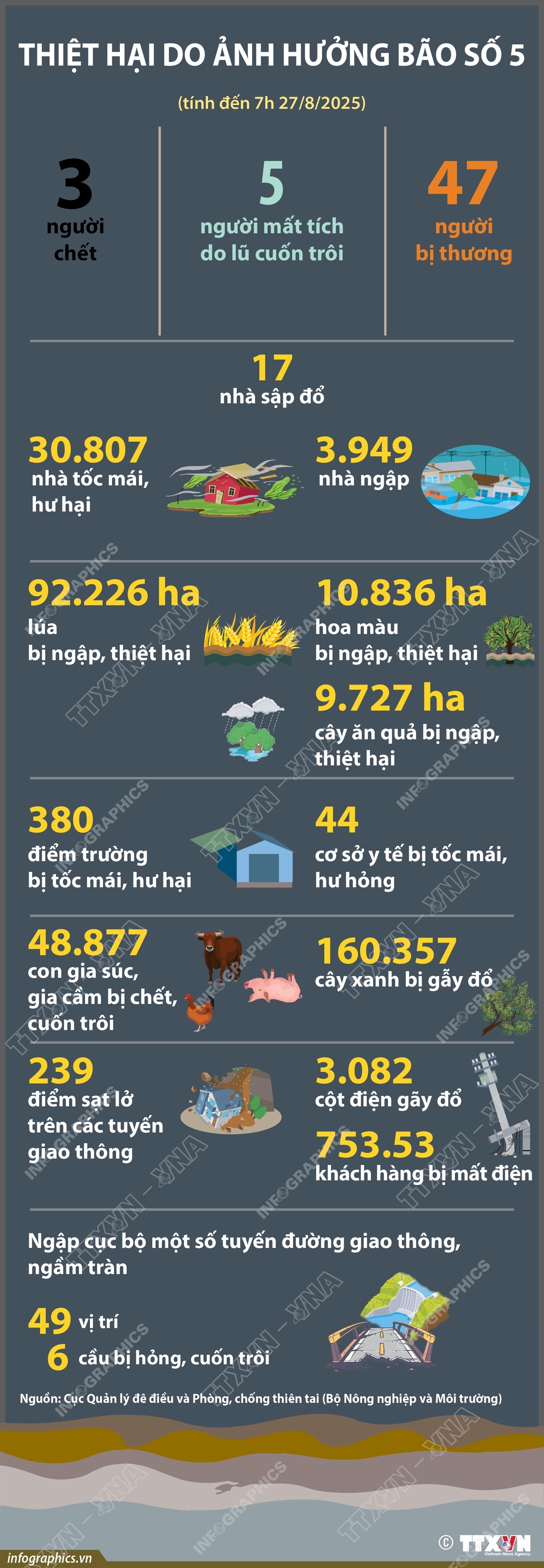 ảnh slide