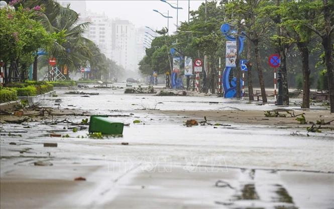 Thanh Hóa tan hoang sau bão số 10