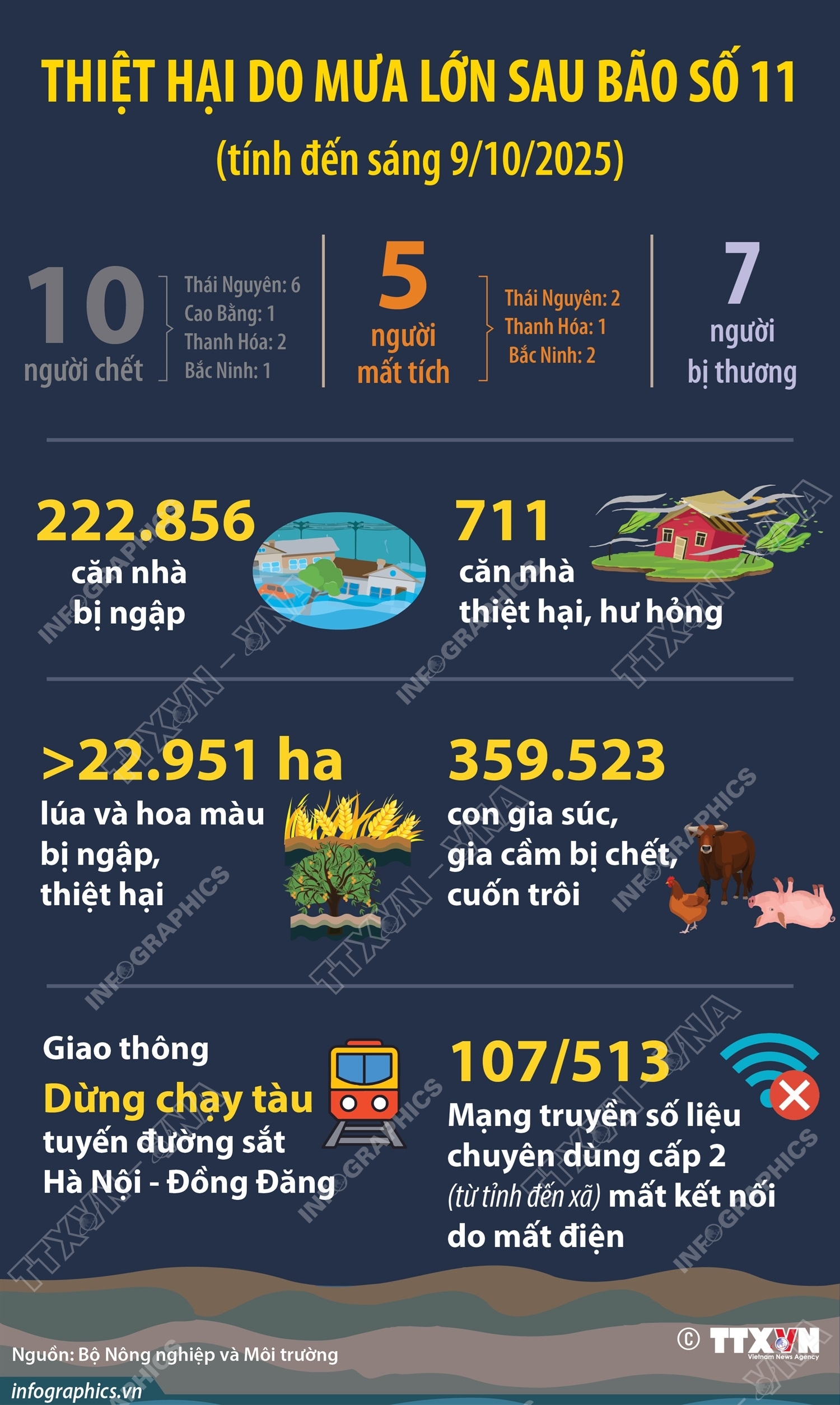 ảnh slide