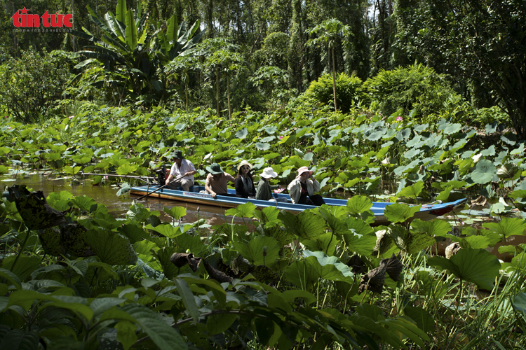 Về U Minh Hạ trải nghiệm du lịch xanh ở Mười Ngọt và Sông Trẹm