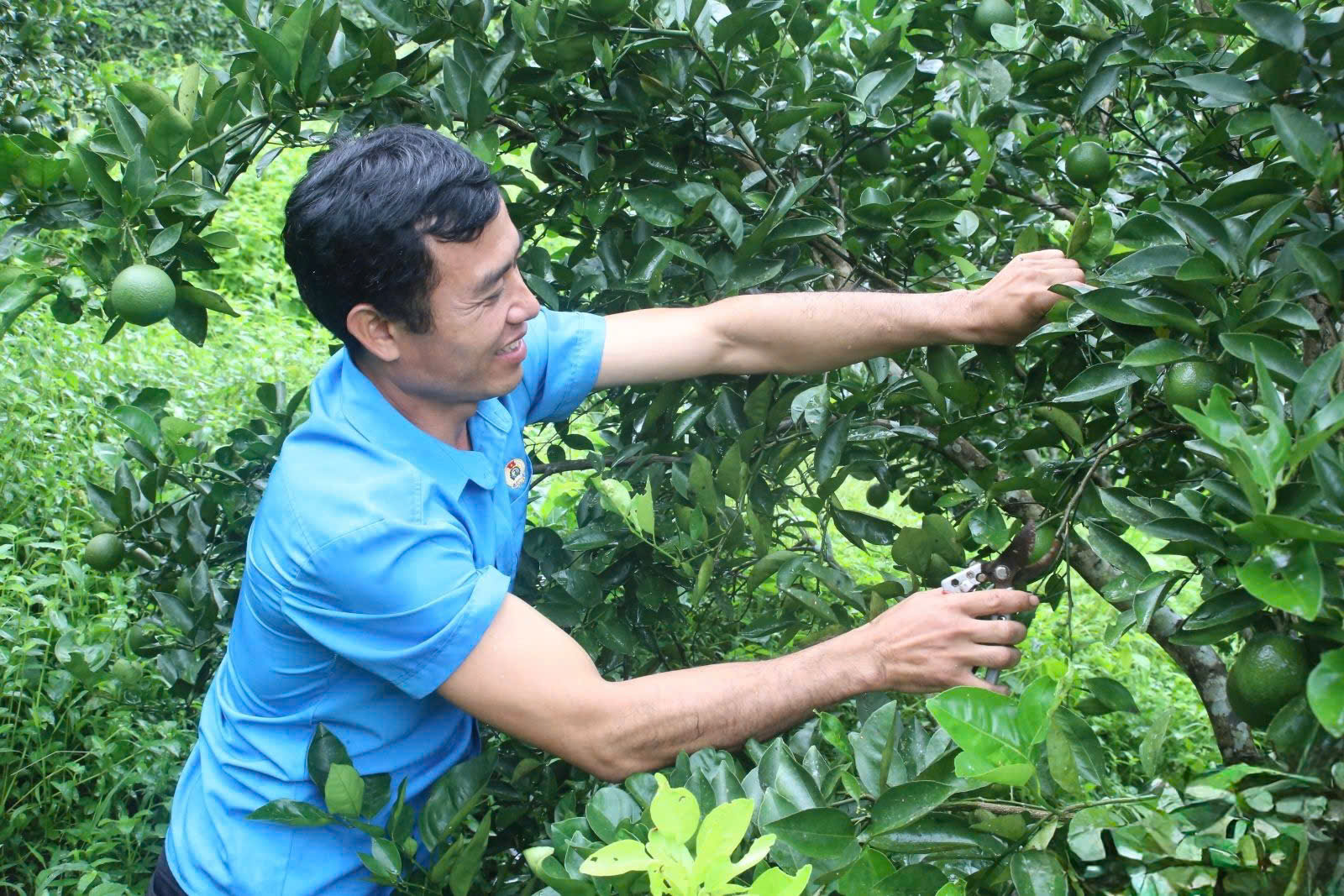 Kết tinh sức dân trong Chương trình Mục tiêu quốc gia 1719 Nông thôn vùng cao Sơn La khởi sắc từng ngày