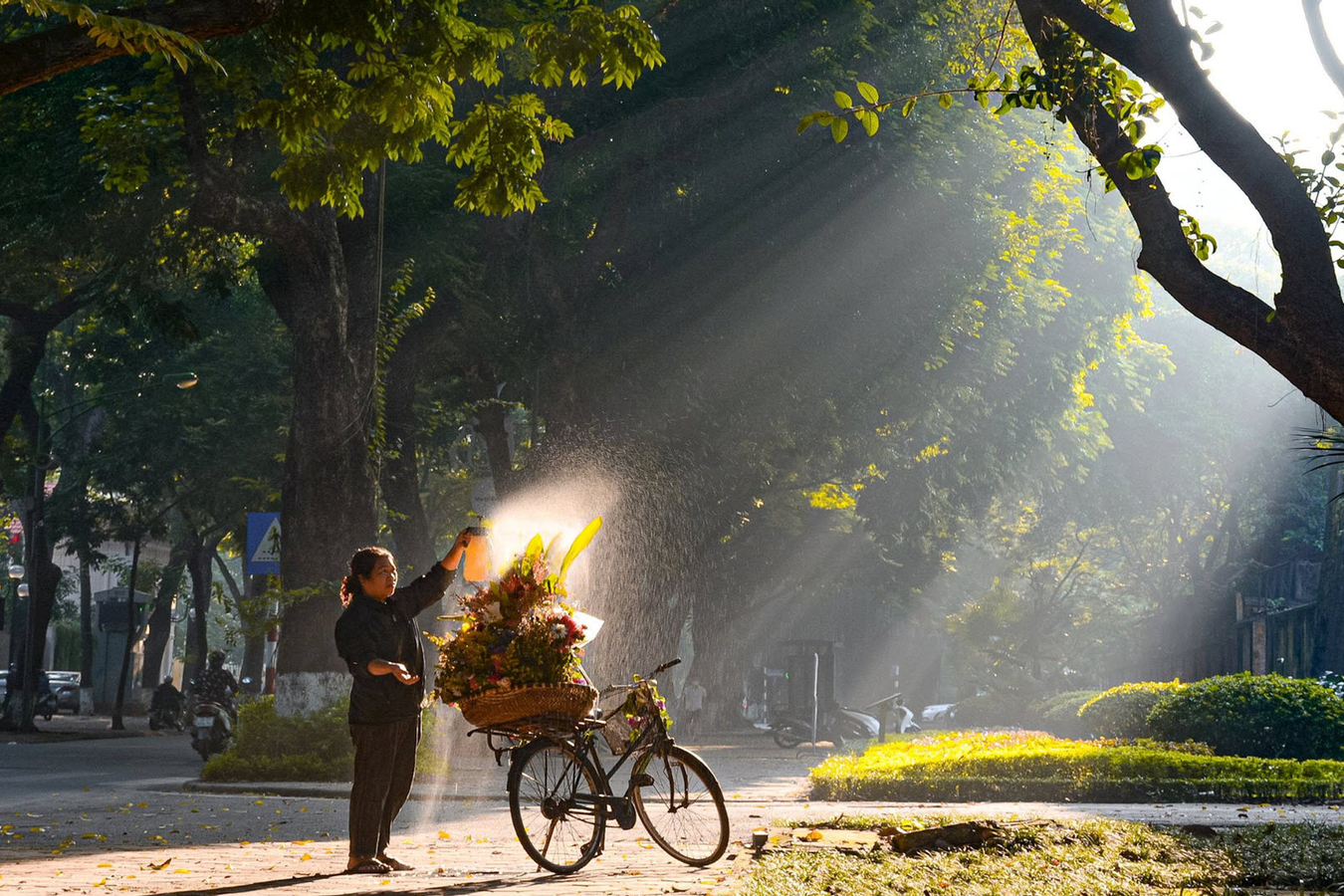Bắc Bộ mưa giảm, Nam Bộ ban ngày nắng gián đoạn, chiều tối mưa rào và dông