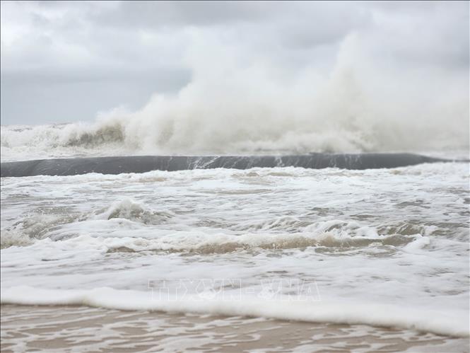 Các tỉnh từ Nghệ An đến Khánh Hòa khẩn trương ứng phó áp thấp nhiệt đới gần Biển Đông
