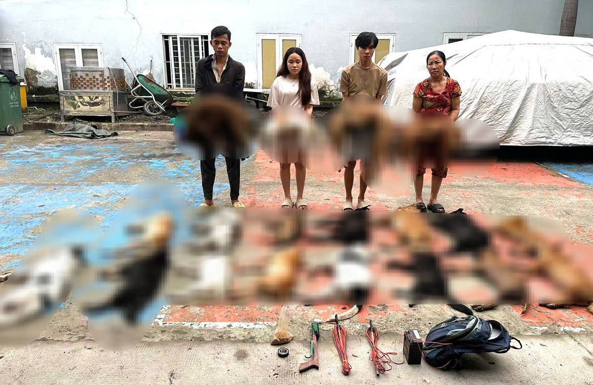 Triệt phá đường dây thực hiện nhiều vụ trộm, tiêu thụ chó