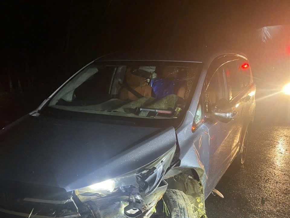 Nhóm trộm chó bỏ lại ôtô tháo chạy khi bị Công an truy đuổi