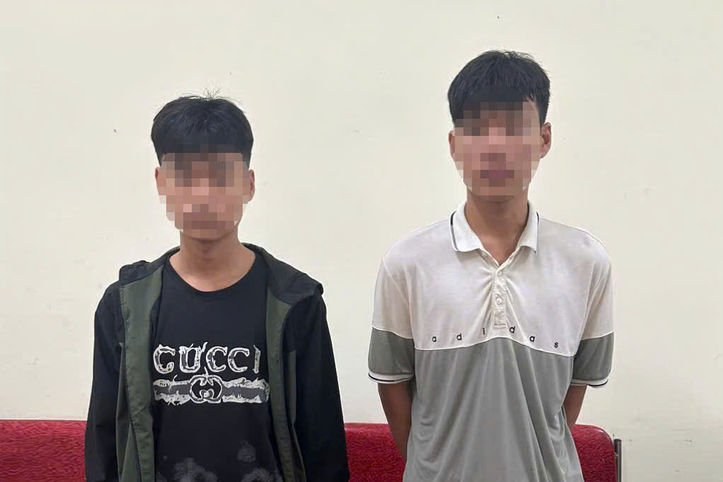 Phê chuẩn khởi tố 2 đối tượng trộm cắp ở đền, chùa