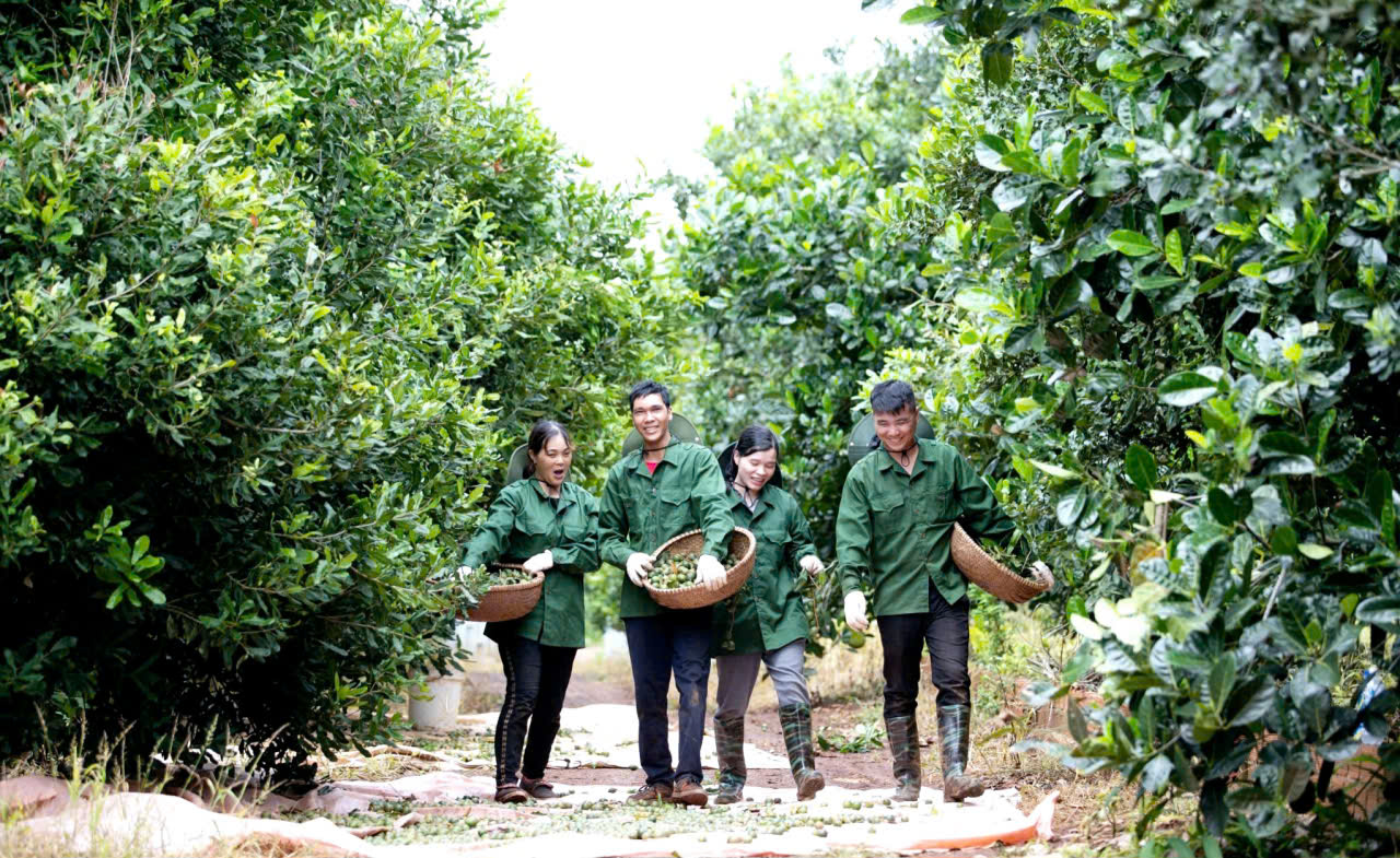 Xã Krông Năng Đắk Lắk kiến tạo xây dựng nông thôn mới trong thời kỳ mới