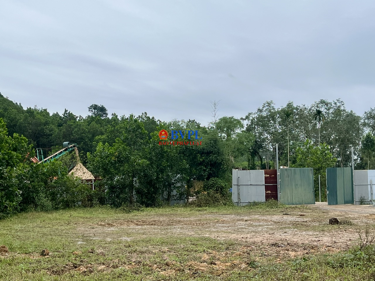 Cần xử lý quyết liệt cơ sở chế biến lâm sản không phép, tránh tình trạng nhờn luật