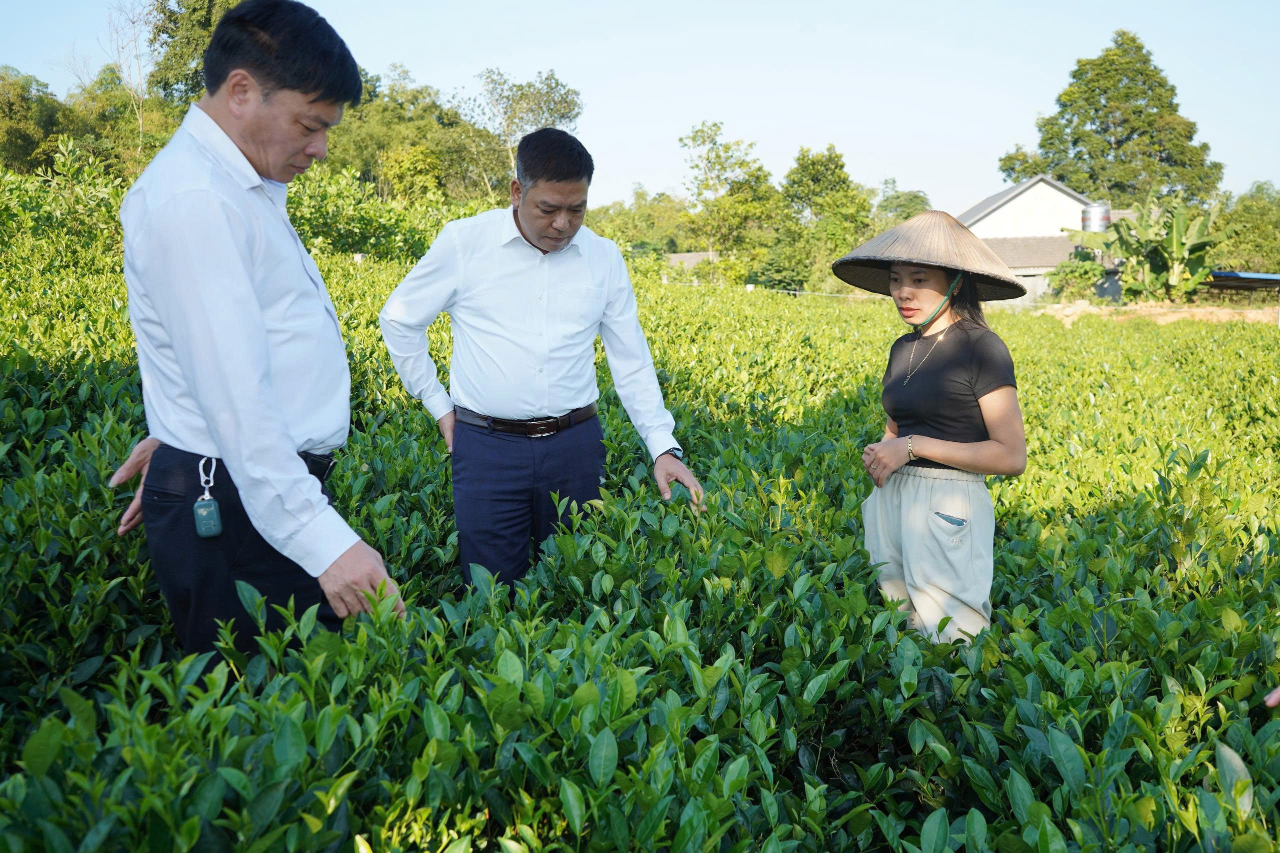 Xã Định Hóa chung tay vì người nghèo, không để ai bị bỏ lại phía sau