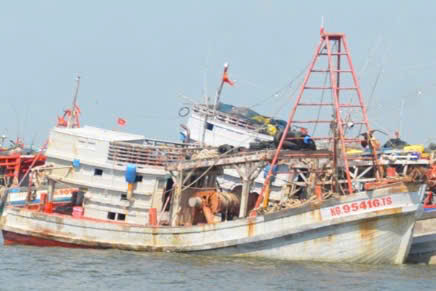 An Giang quyết liệt gỡ “Thẻ vàng” IUU