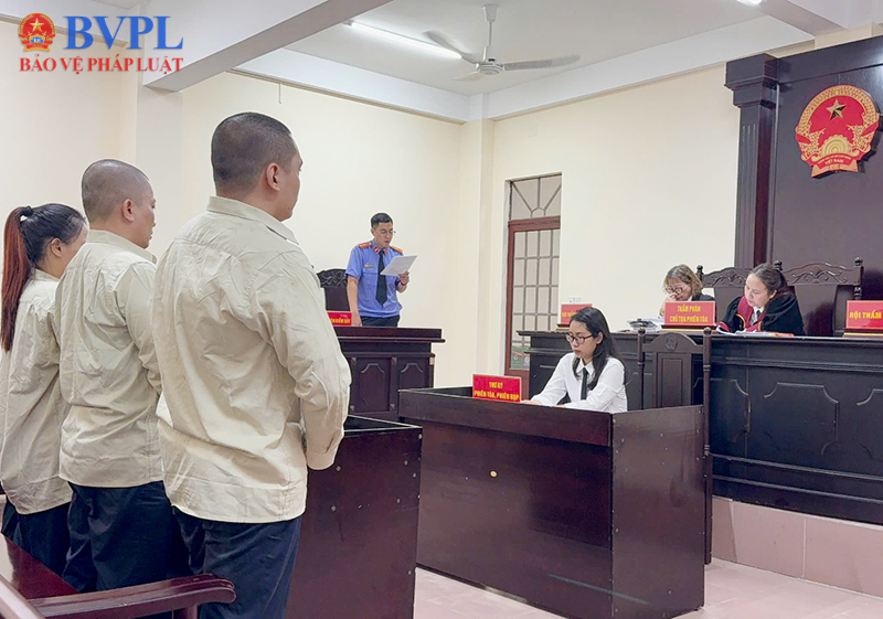 VKSND Khu vực 1 TP Hồ Chí Minh phối hợp xét xử phiên tòa rút kinh nghiệm