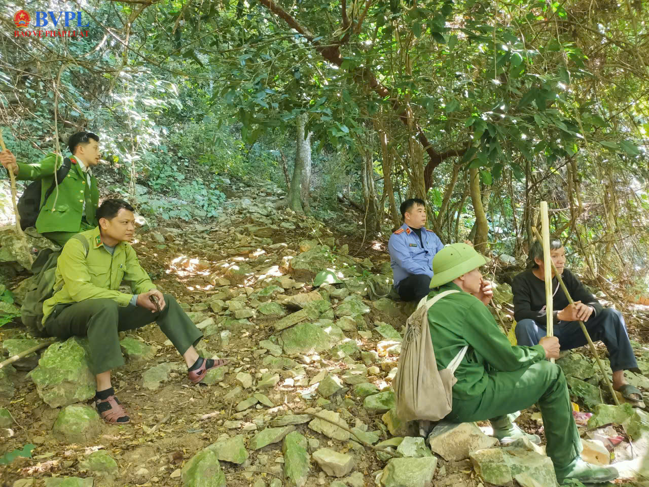 Kiểm sát khám nghiệm hiện trường vụ phá rừng Khu bảo tồn thiên nhiên Pù Luông