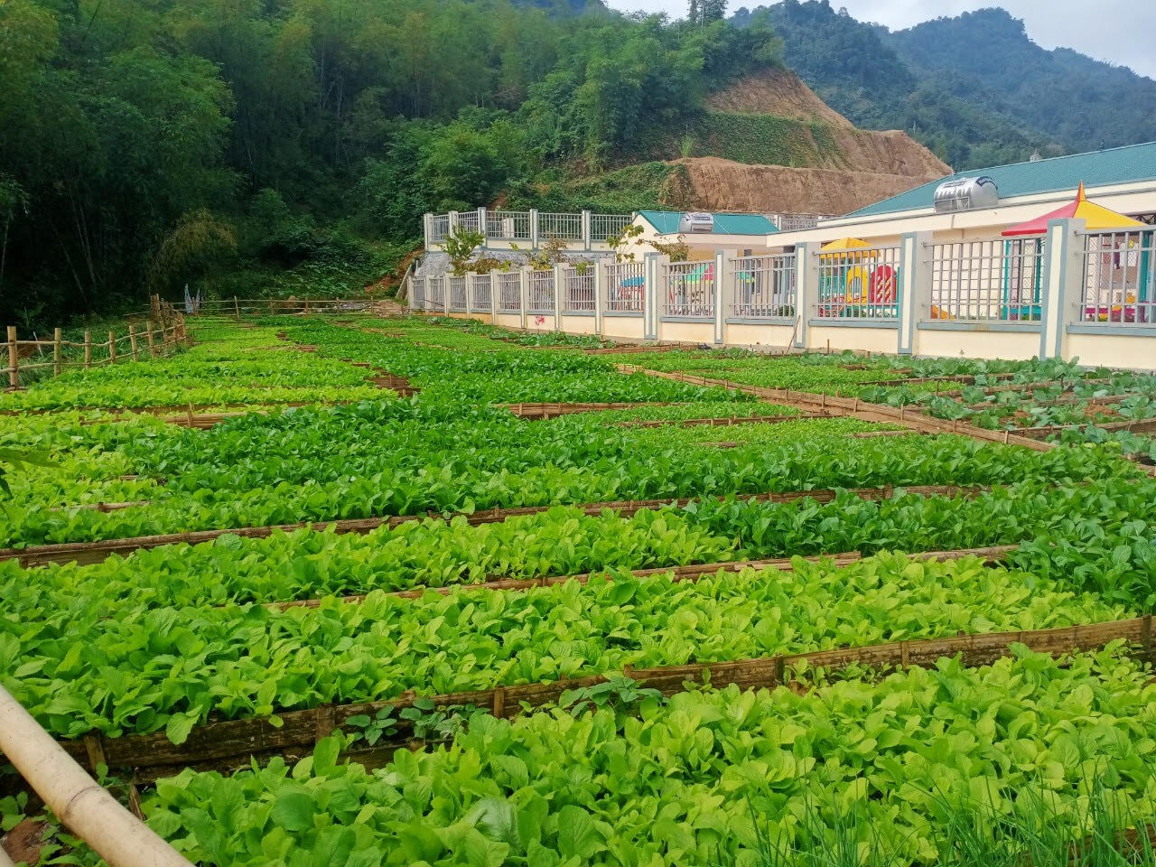 Vùng biên Na Mèo vươn lên xây dựng Nông thôn mới