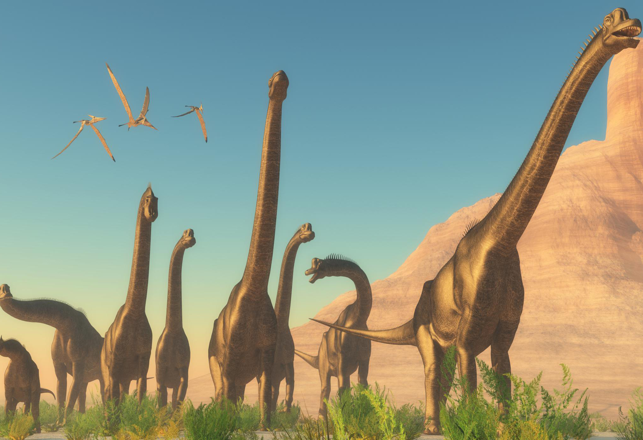 Kinh ngạc với “rừng” dấu chân khủng long 210 triệu năm trên vách đá dựng đứng