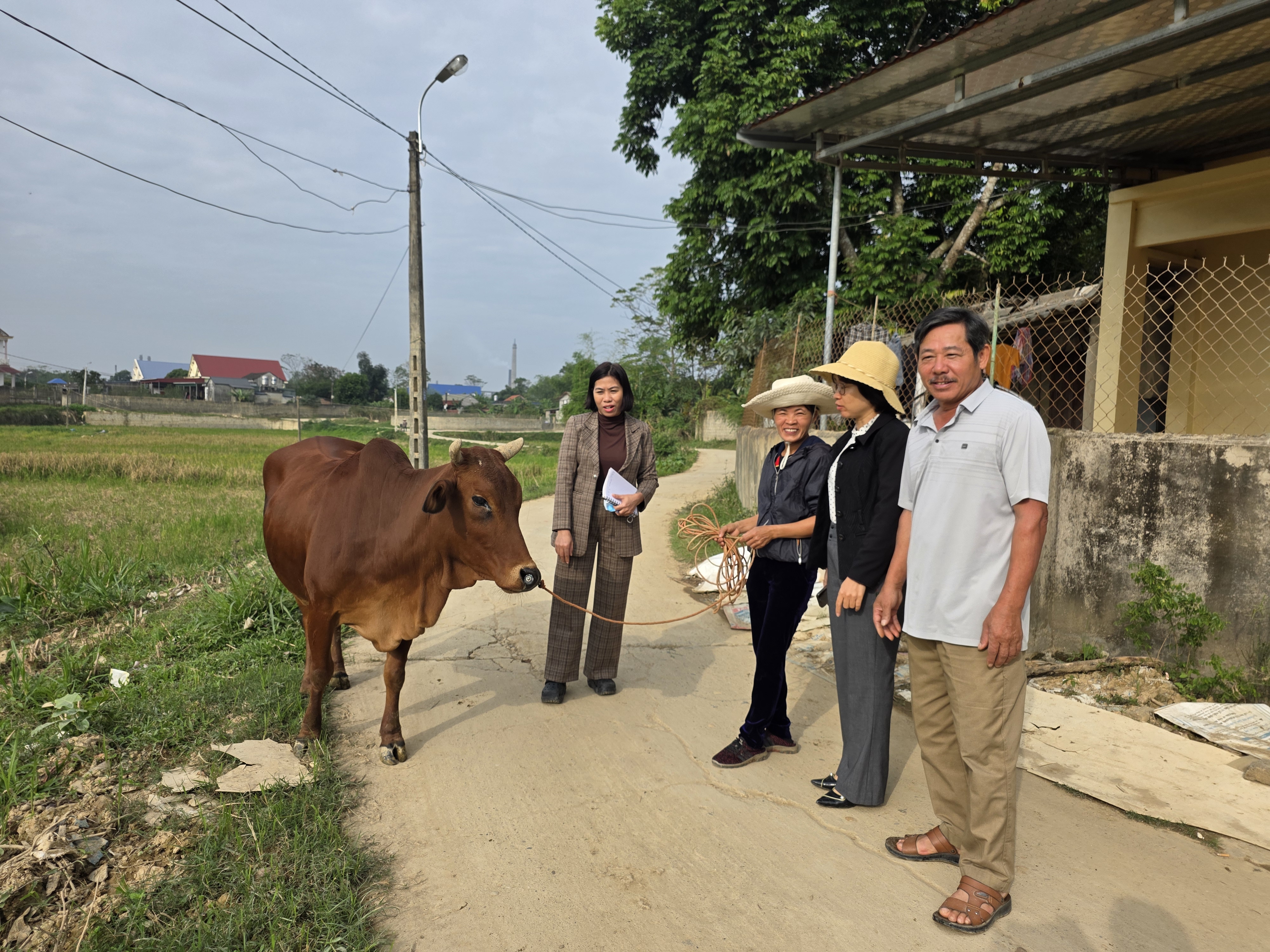Thái Nguyên, Nhiều hộ dân tiêu biểu nuôi bò sinh sản “cần câu” hữu hiệu trong giảm nghèo