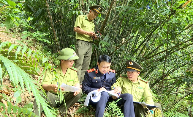 Viện kiểm sát kháng nghị nhằm đảm bảo tính công bằng và nghiêm minh trong áp dụng pháp luật