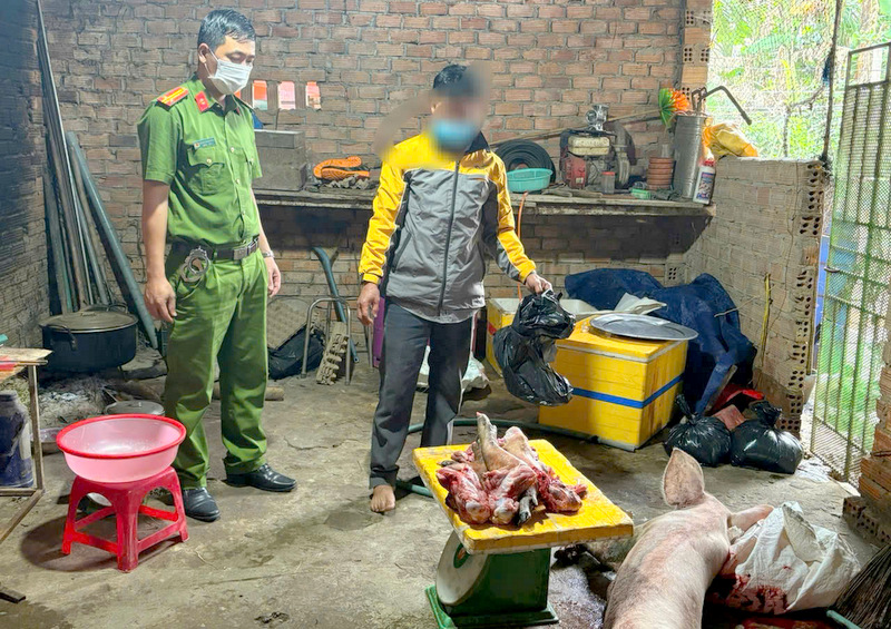 Phát hiện vụ mua lợn chết giết mổ bán ra thị trường tại Quảng Ngãi