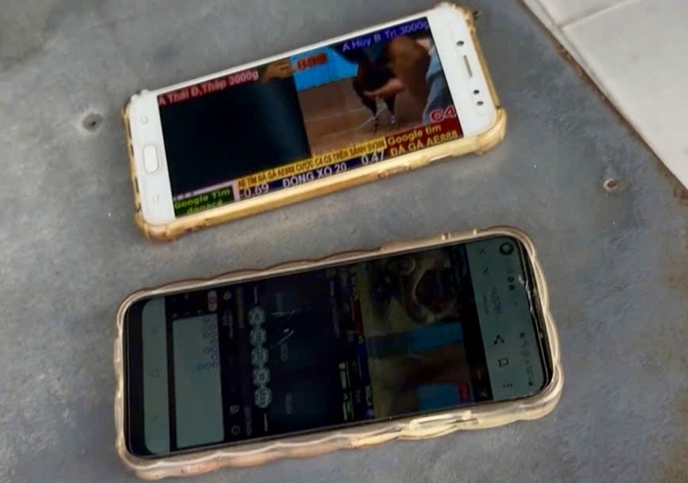 Bắt giữ 14 đối tượng đá gà mạng ăn tiền trong quán cà phê