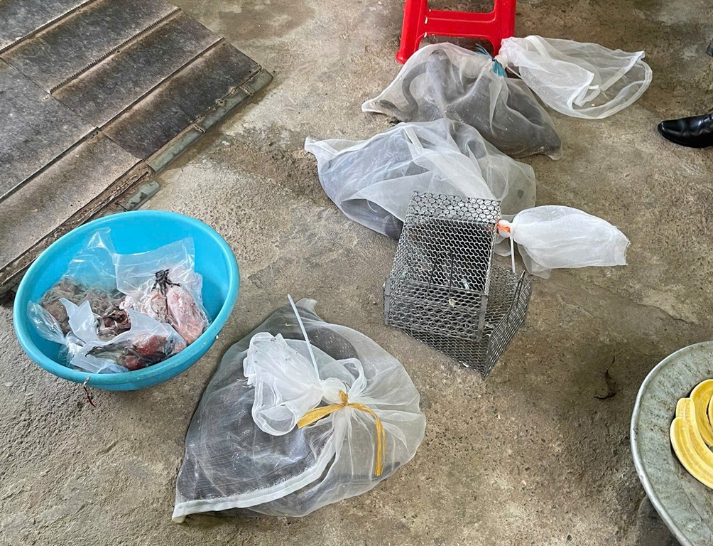 Phát hiện hộ gia đình nuôi nhốt, tàng trữ trái phép nhiều động vật hoang dã