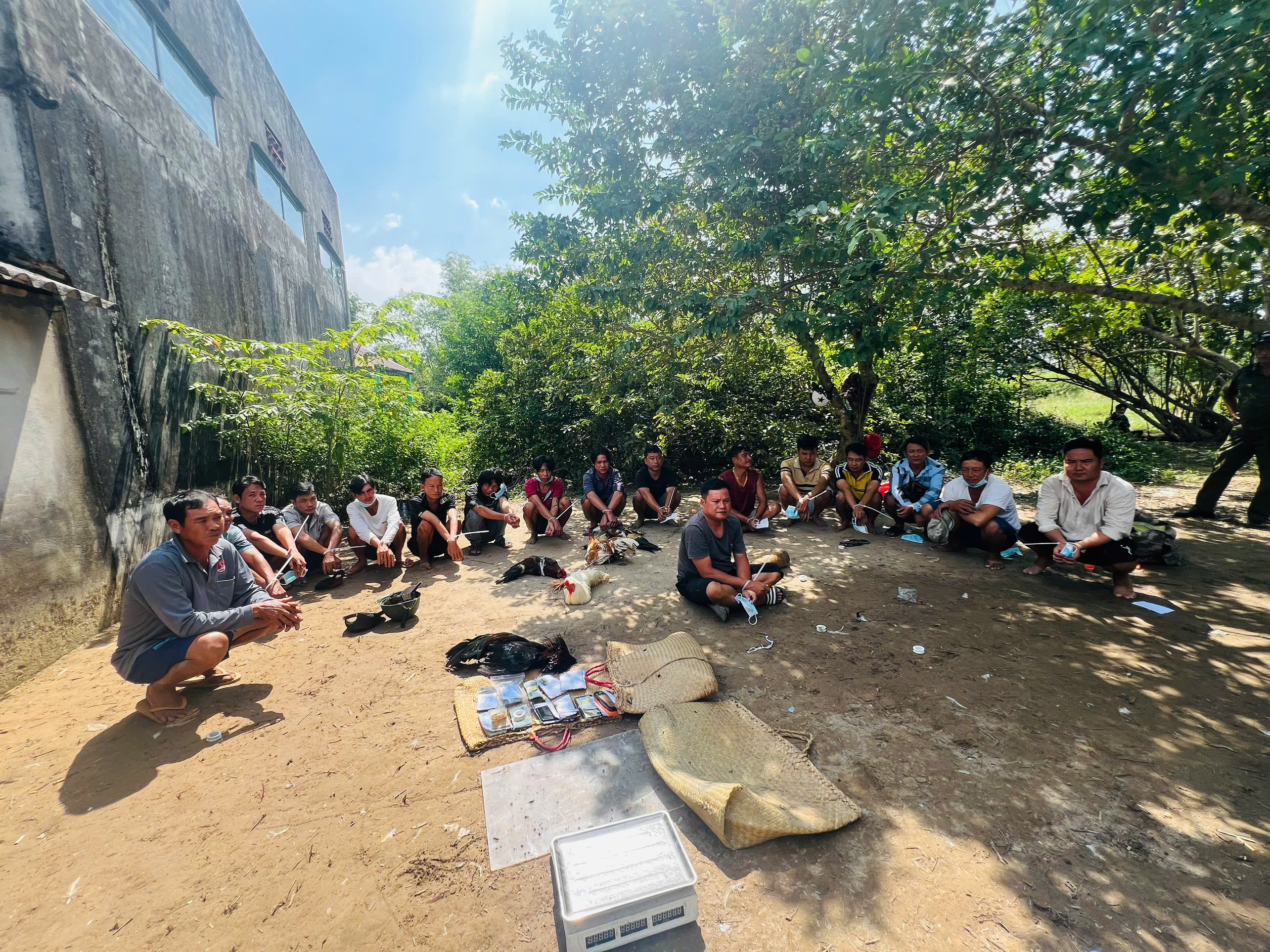 Bắt quả tang nhóm 17 đối tượng tham gia “đá gà ăn tiền” tại Trà Ôn