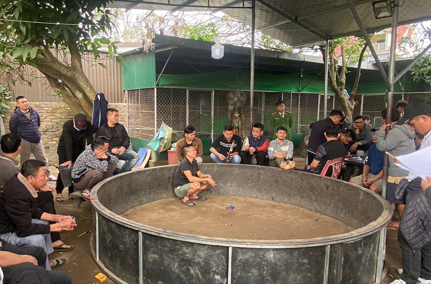 Bắt giữ 28 đối tượng đá gà ăn tiền ở Nghệ An