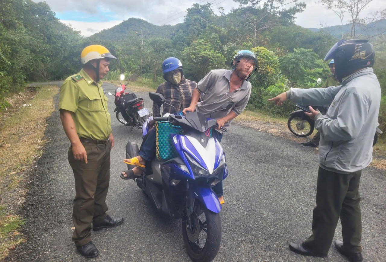 Phát hiện vụ vận chuyển trái phép động vật hoang dã quý hiếm