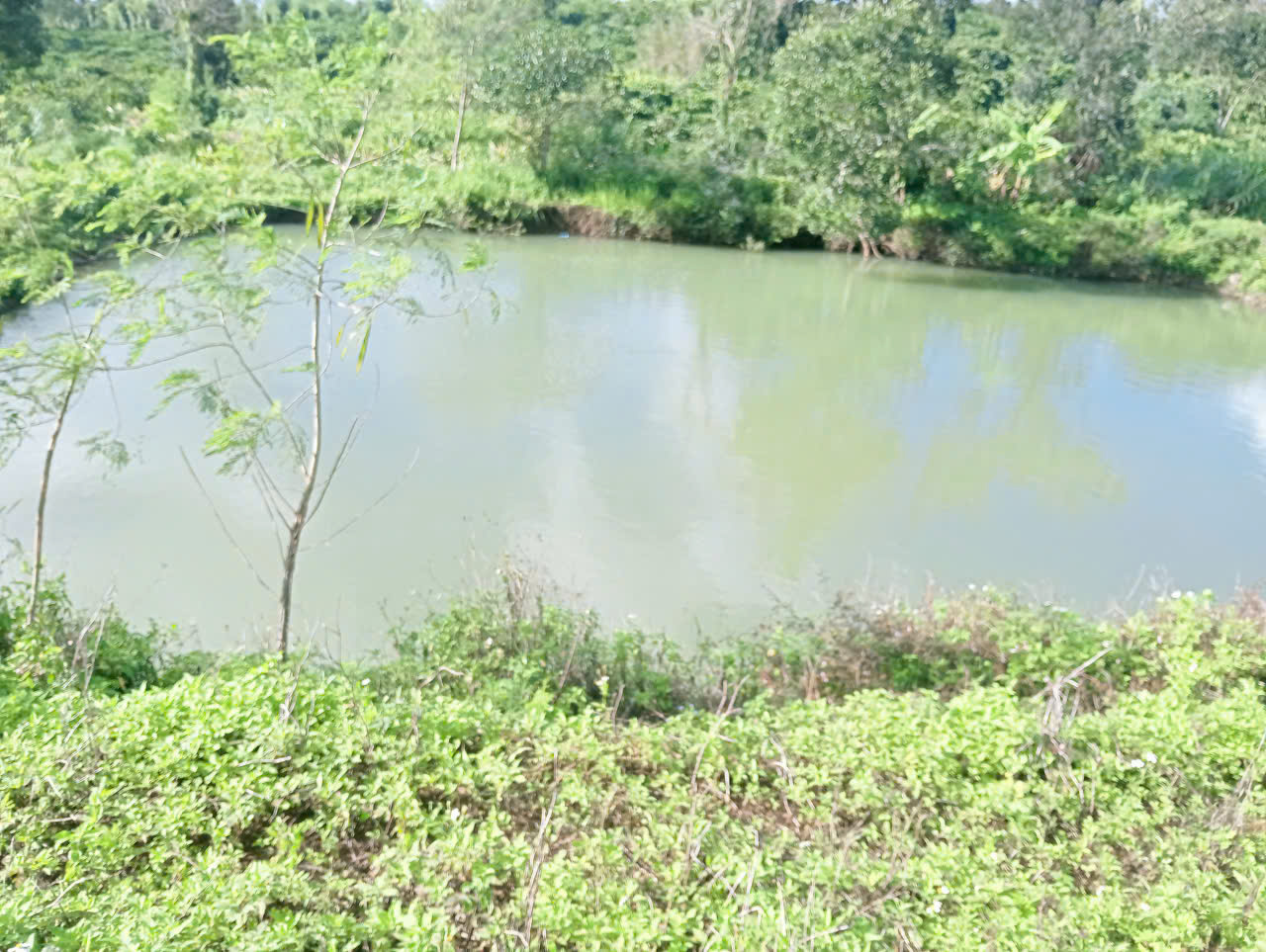 Ba cháu nhỏ rủ nhau đi tắm hồ bị đuối nước thương tâm