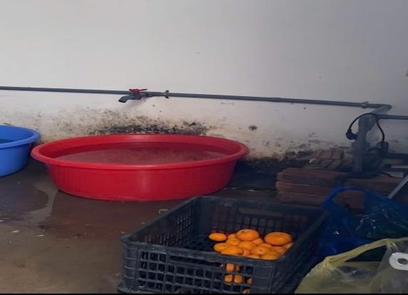 Phát hiện vi phạm của Công ty Nhật Anh trong cung cấp suất ăn bán trú cho trường học