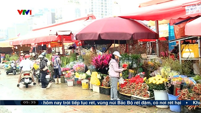 Chợ hoa Hà Nội rộn sắc xuân