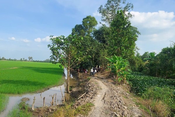 Bắt quả tang 24 đối tượng đá gà ẩn nấp sau cánh đồng lúa, thu giữ 113 triệu đồng