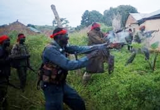 Hơn 30 người thiệt mạng trong vụ tấn công của nhóm phiến quân ở Tây Bắc Nigeria