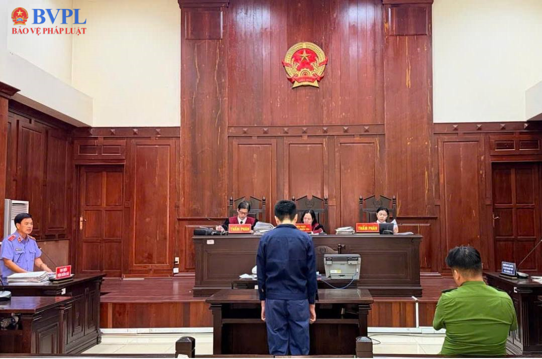 Viện phúc thẩm 3 tổ chức phiên tòa rút kinh nghiệm vụ án “Lừa đảo chiếm đoạt tài sản”