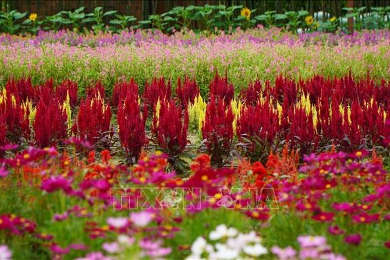 Phát huy bản sắc văn hóa - sinh thái, hướng tới phát triển du lịch bền vững