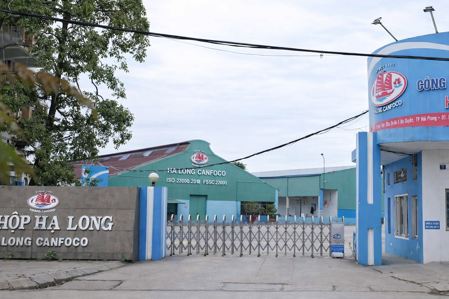 Phê chuẩn khởi tố 9 bị can trong đường dây “phù phép” thịt lợn nhiễm dịch