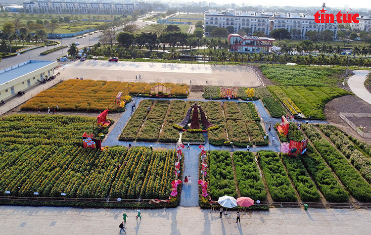 Người dân, du khách nô nức check-in lễ hội hoa Tết 4 miền tại TP Hồ Chí Minh