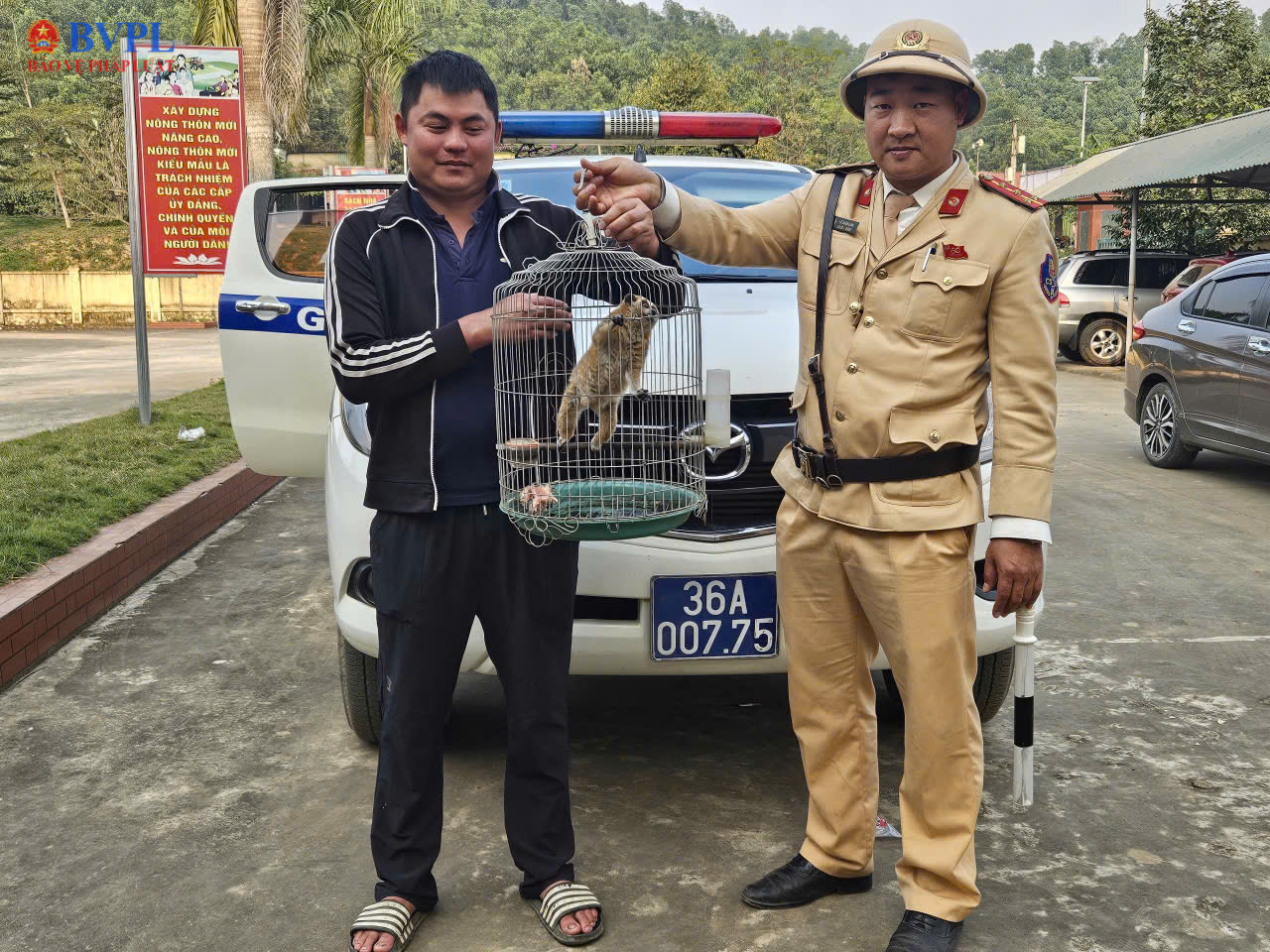 Người dân phát hiện động vật quý hiếm trong nhà