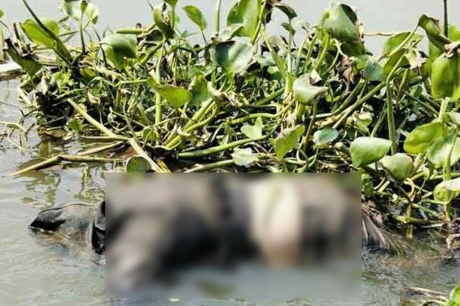 Một ngày sau cuộc gọi về quê, nam thanh niên tử vong dưới sông ở TP Hồ Chí Minh