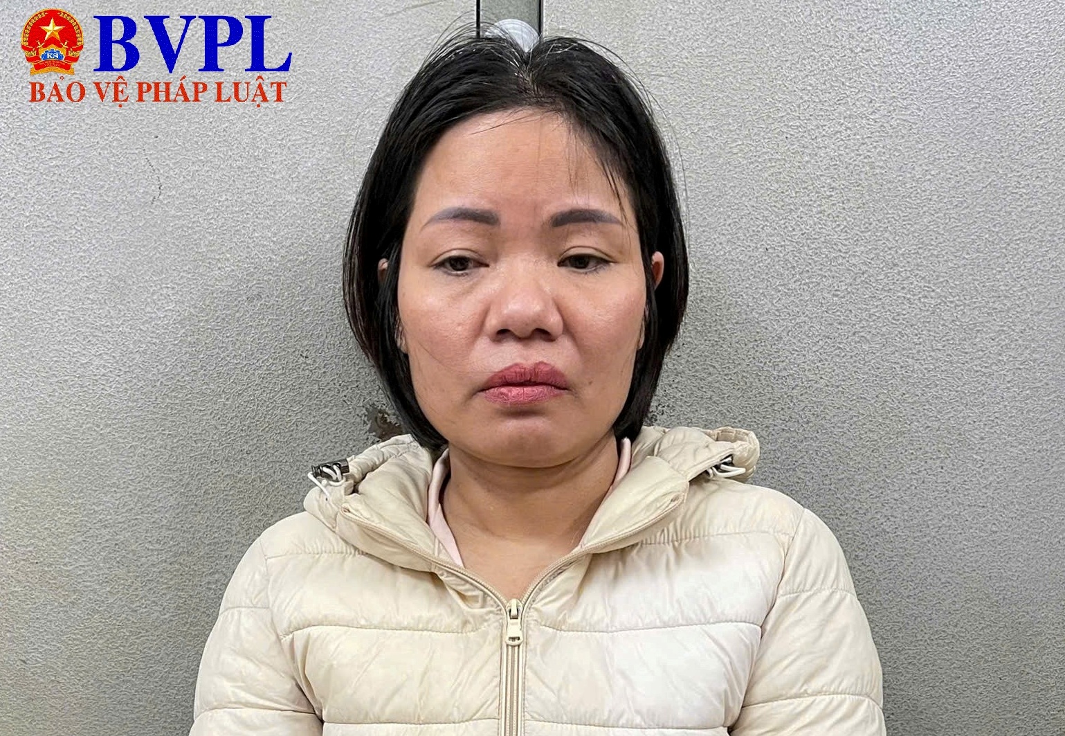 Phê chuẩn khởi tố nữ giúp việc hành hạ cụ bà 83 tuổi ở Hà Nội