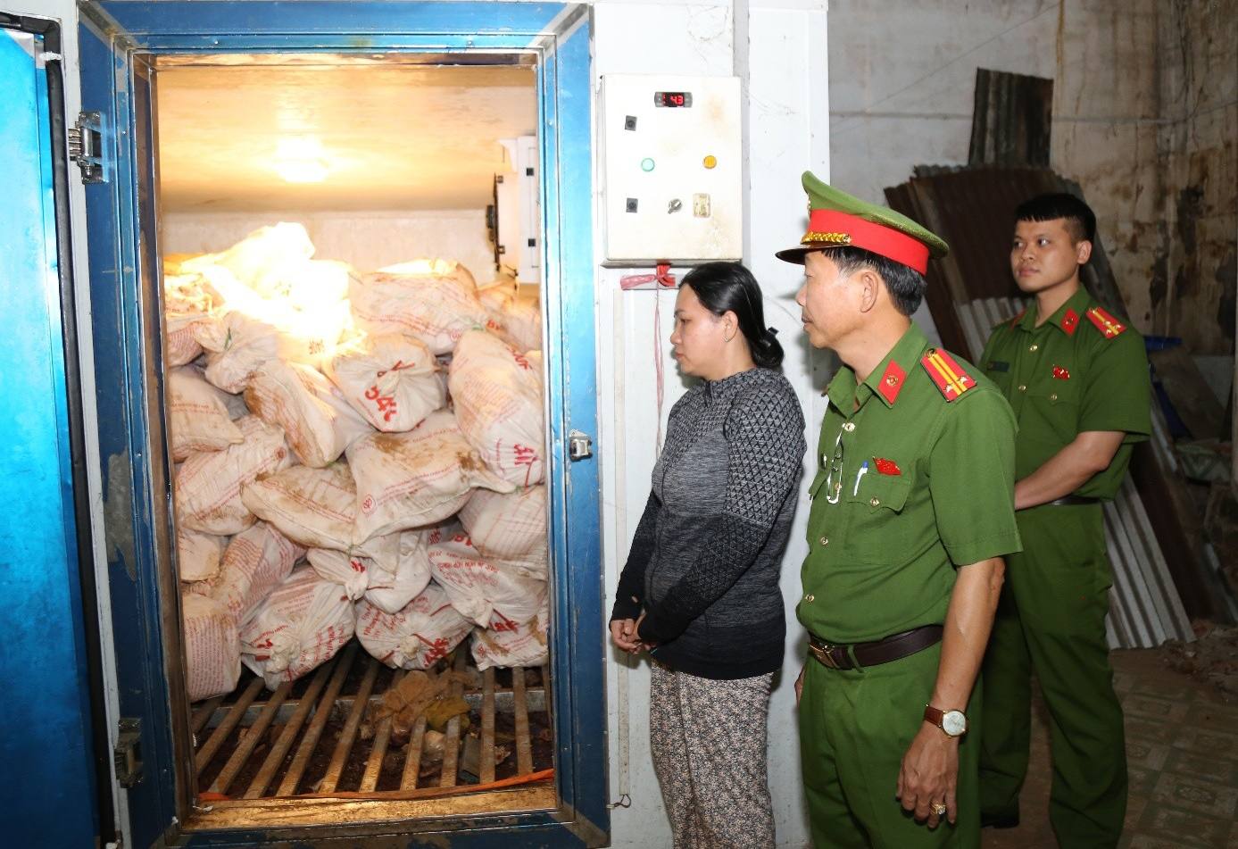 Phê chuẩn khởi tố, bắt tạm giam người phụ nữ bán 12 tấn thịt heo bị bệnh dịch tả