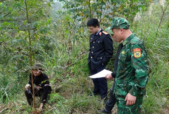 Phối hợp kiểm sát việc xác định hiện trường vụ khai thác rừng trái phép