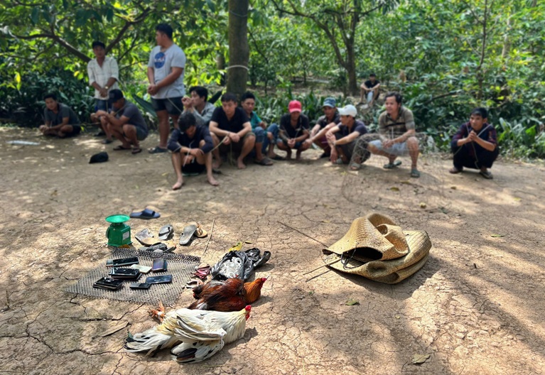 Nhóm 14 đối tượng đá gà ăn tiền tháo chạy tán loạn khi bị Công an đột kích