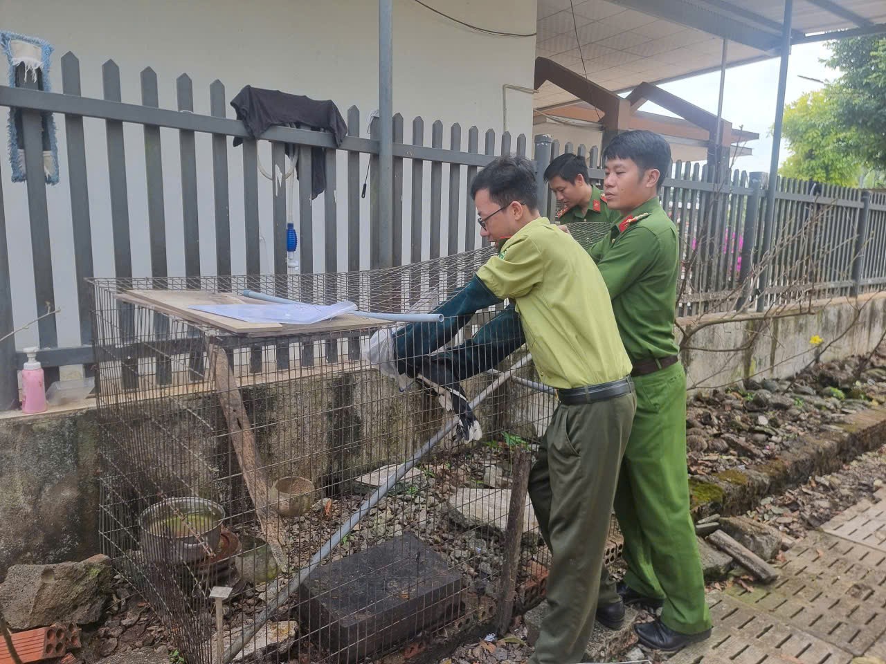 Tiếp nhận, thả động vật rừng quý hiếm về tự nhiên