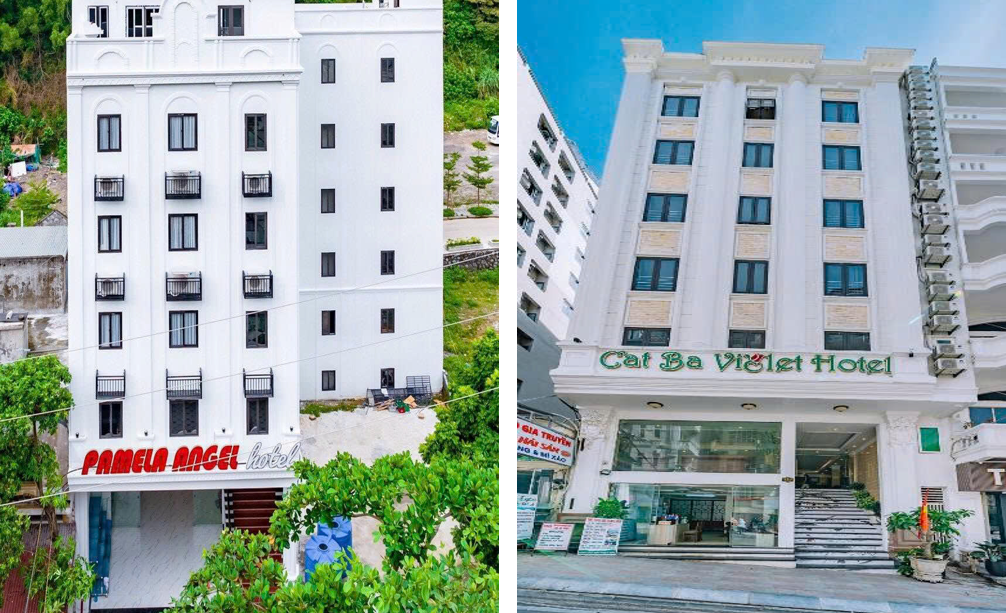 VKSND khu vực 4 – Hải Phòng kiến nghị chấn chỉnh vi phạm đất đai tại đặc khu Cát Hải