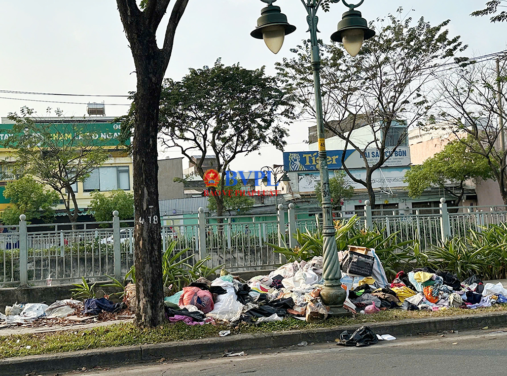 Kiến nghị khắc phục tình trạng ô nhiễm dọc tuyến Kênh Tân Hóa, TP Hồ Chí Minh