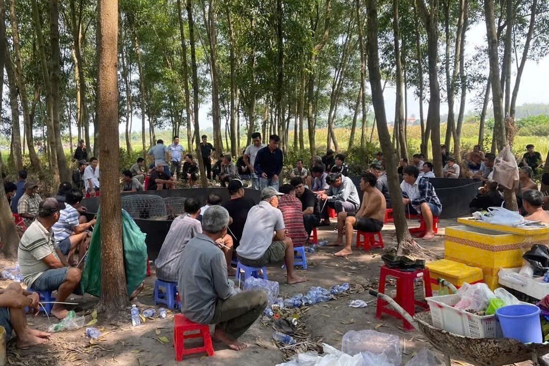 Triệt phá tụ điểm đá gà trong rừng ở Tây Ninh, tạm giữ 61 người cùng gần 1 tỉ đồng