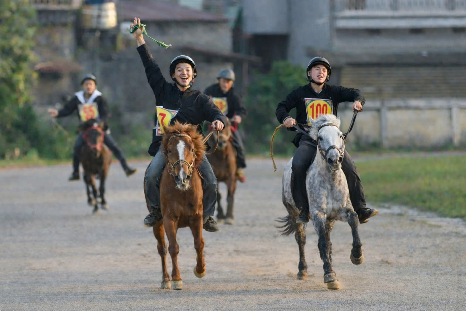 Tiếng vó ngựa gọi Xuân trên cao nguyên trắng
